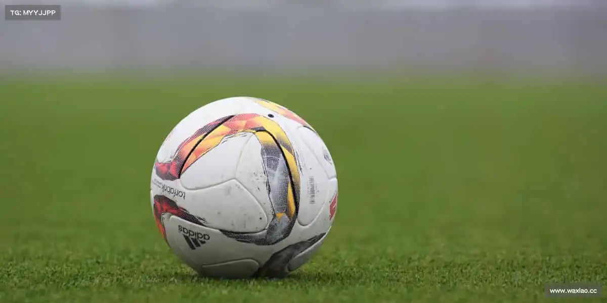 九游会j9——🏓⚡速度与技巧,一拍即合!